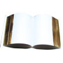Open Bible W/Gold Trim