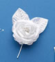 Iridescent Rose (12 Roses)