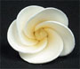 Frangipani Flower - Small - White