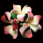 Hawaiian Bloomed Plumeria Topper - Pink