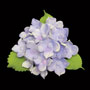 Hydrangea Bunches W/Leaves- Blue