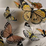 Butterfly Cake Deco Set-Natural Elegance