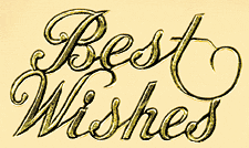 Best Wishes Script - Foil