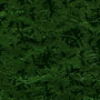 Moss Foil Wrap 20