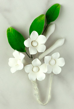 Asian Stephanotis Filler - White