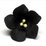 Fruit Blossom Single - Black
