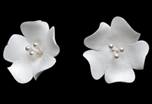 Fruit Blossom Single - White