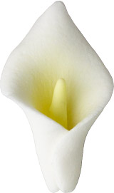 Calla Lily Flower - Small