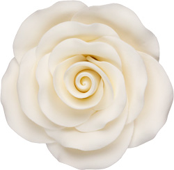 White Rose Single - Extra Jumbo
