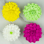 Chrysanthemum - Large - Assorted