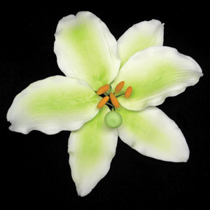 Casablanca Lily Single- Lge Green/White