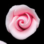 RR Roses - Rosebud - Pink