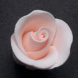 RR Roses - Rosebud - Peach