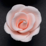 RR Roses - Small - Peach
