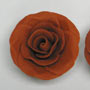 RR Roses - Medium - Chocolate Brown