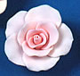 RR Roses - Large - Pink