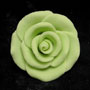 RR Roses - Large - Light Green