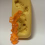 Coral Silicone Mold - 3