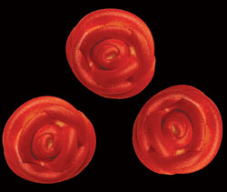 Mini Icing Roses - Red Gloss