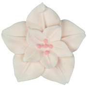 Cherry Blossom - Large