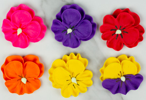 Pansies - Hot Color Assortment