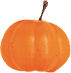 Full 3-D Pumpkin