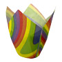 Tulip Cup - Rainbow