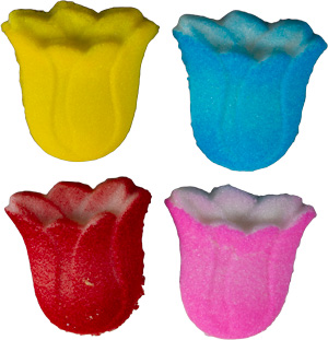 Tulips - Ass't - Small