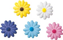 Daisies - Small Assorted Colors